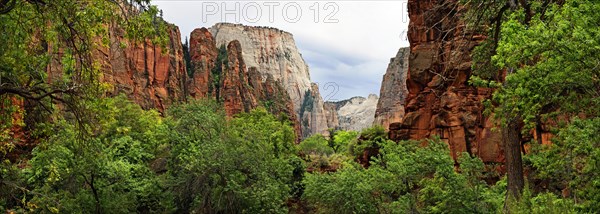 Lush green vegetation and red sandstone cliffs at the Temple of Sinawava with views of the Great White Throne