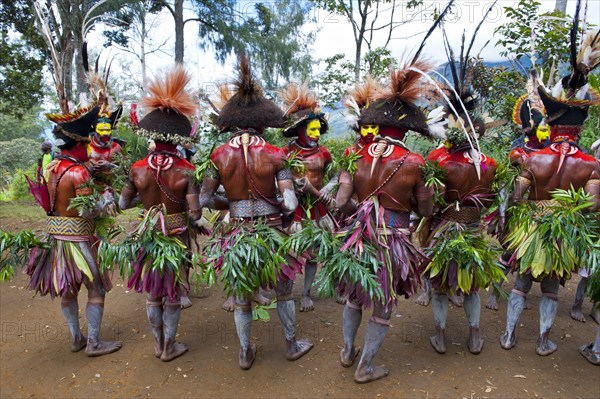 Men with colourful decorations and face paint are celebrating at the traditional Sing Sing gathering in the highlands