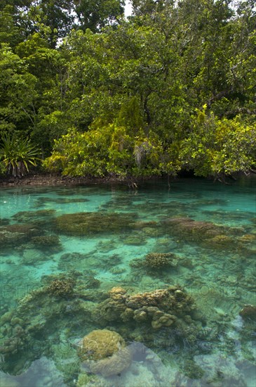 Clear waters of the Marovo Lagoon