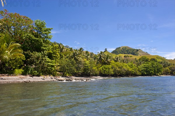 Coastal landscape