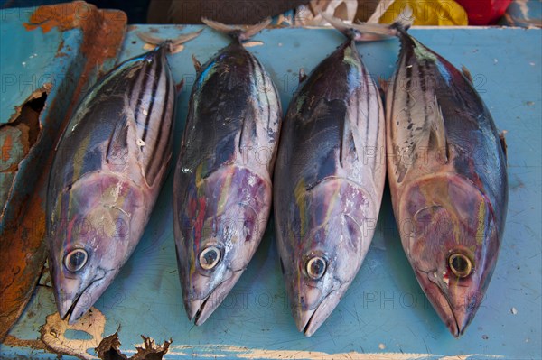 Fish for sale at the market hall