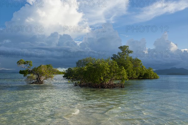 Cloud formations above the Marovo Lagoon