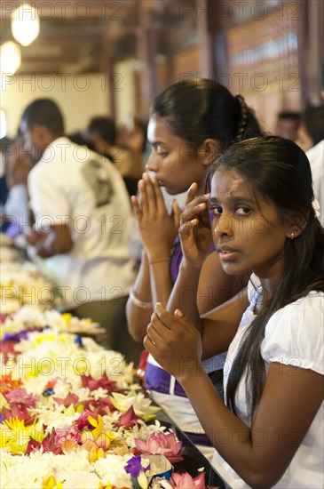 Praying young women sitting in front of flowers