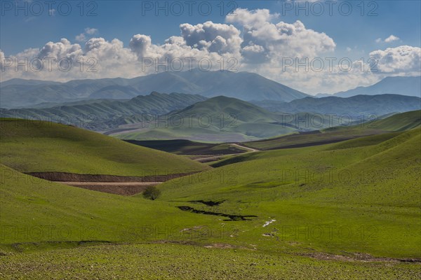 Green hilly landscape