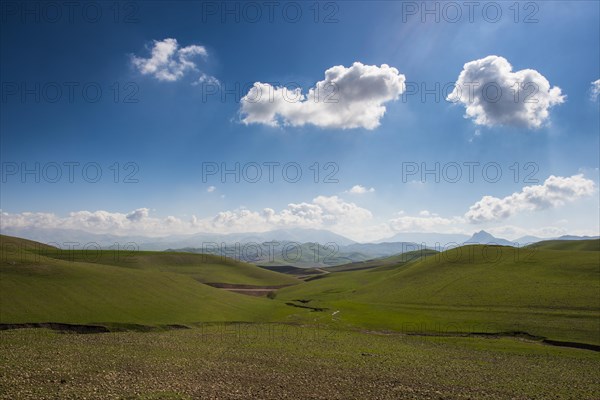 Green hilly landscape