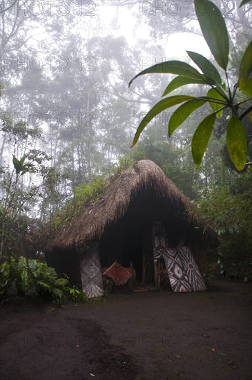 Hut in a tribal village