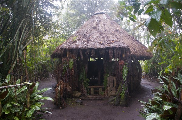 Hut in a tribal village