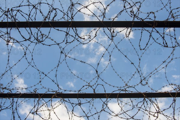 Barb wire in the Amna Suraka or Red Security Museum