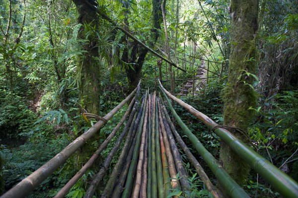 Bamboo bridge leading to the Millennium Cave