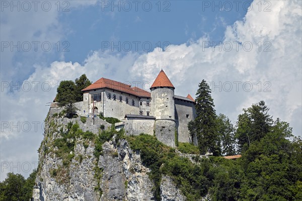 Bled Castle