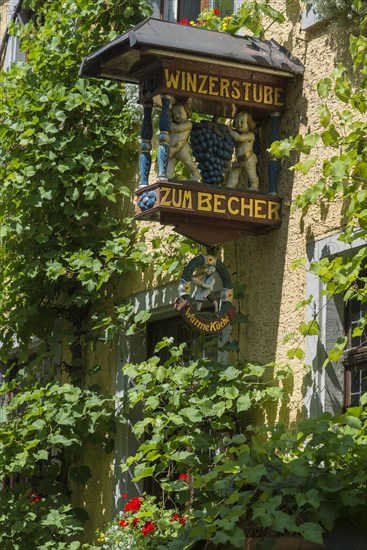 Sign of a wine tavern on an ivy-covered house