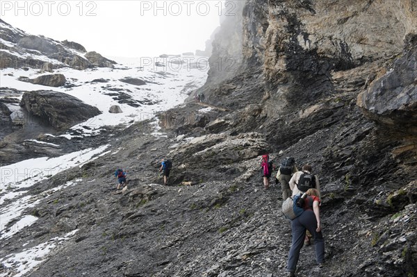 Bear Trek hiking trail