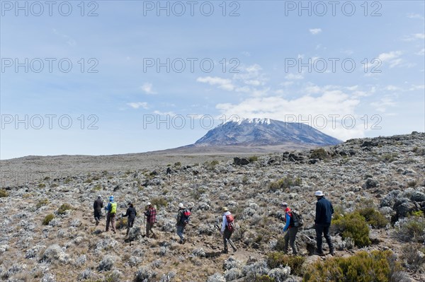 Group of hikers on a path at the Kibo Saddle
