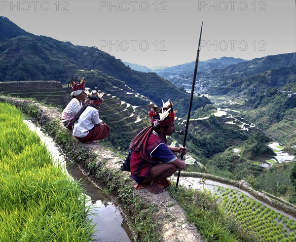 Ifugao people