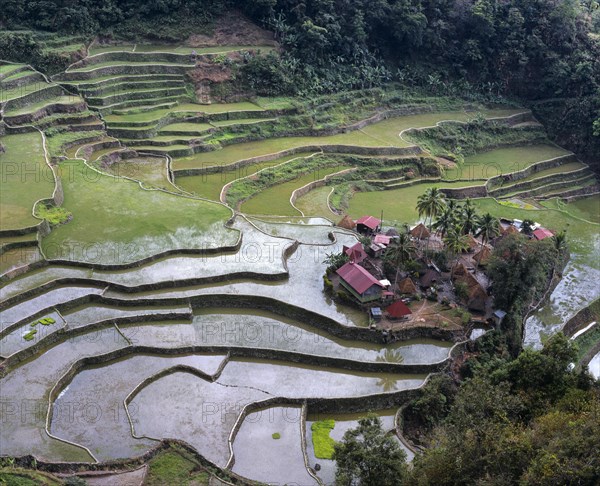 Banga An village near Batad