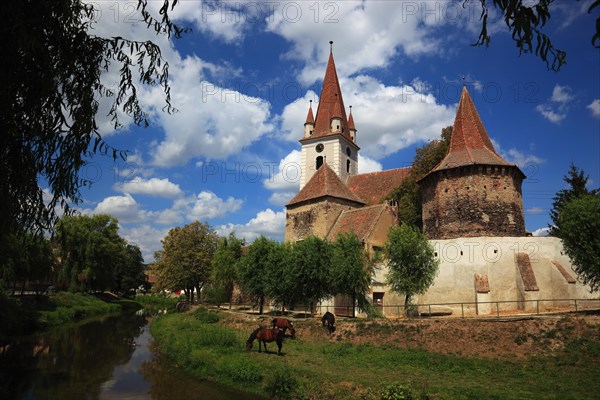 Fortified church of Cristian