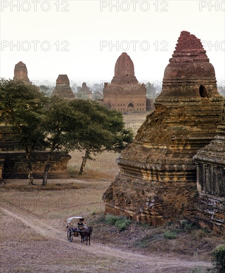 Horse-drawn carriage in a field with ruins of Buddhist pagodas and temples