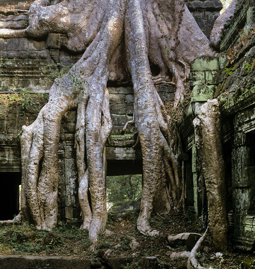 Side courtyard in the interior