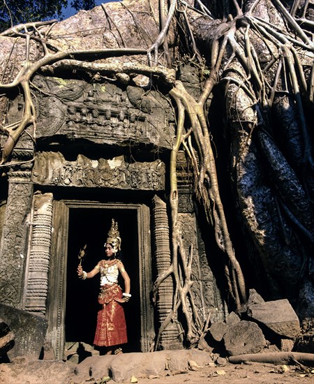 Ta Prohm temple overgrown with huge roots of Tetrameles nudiflora