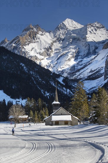 Winter landscape with cross-country skiers