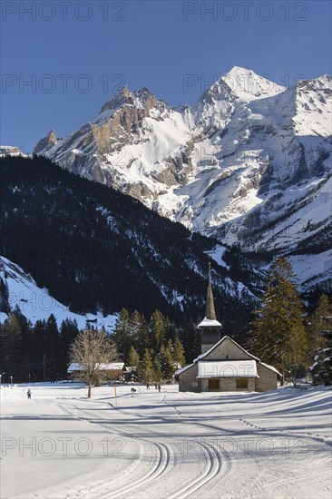 Winter landscape with cross-country skiers