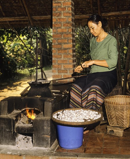 Silkworm cocoons in a silk factory