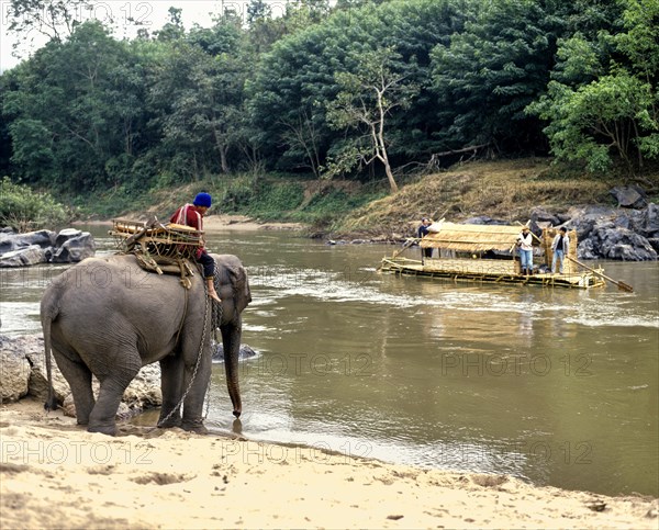 Mahout on an elephant on the Kok River