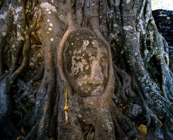 Head of a Buddha statue