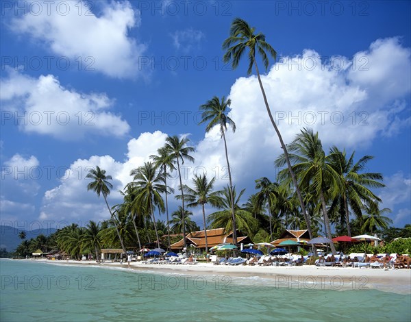 Palm trees and parasols on Chaweng Beach
