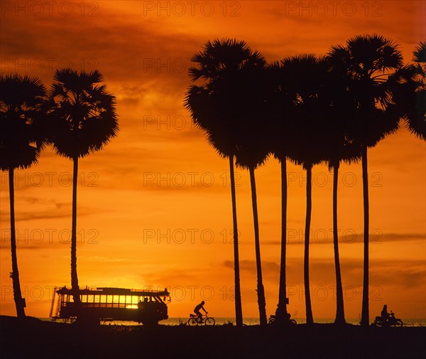 Silhouettes of a moped