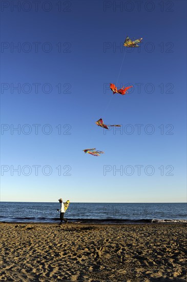 Man with many kites on the beach