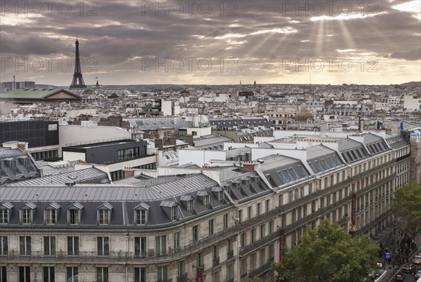 Cityscape of Paris with Eiffel Tower