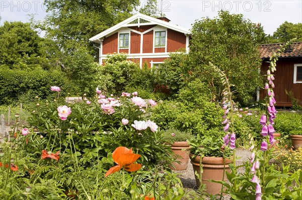 Cottage garden