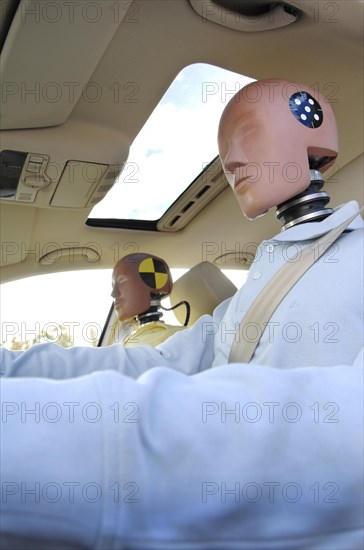 Crash test dummies in a car