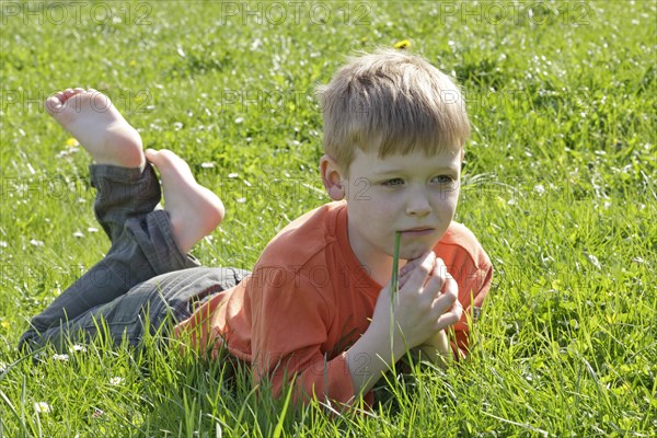 Young boy lying on grass