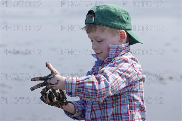 Boy with his hands full of mud in the mudflats of the Wadden Sea