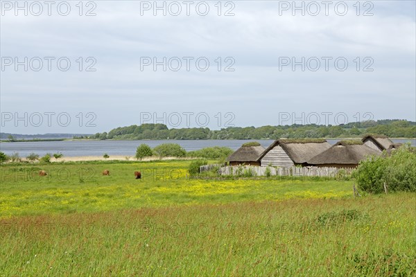 Viking houses in Hedeby Viking Museum