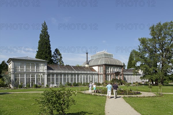 Large greenhouse