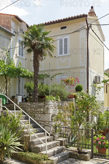 Plant decorations on a staircase outside a house