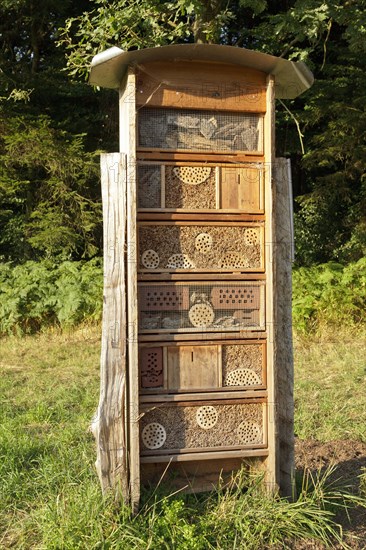 Insect hotel