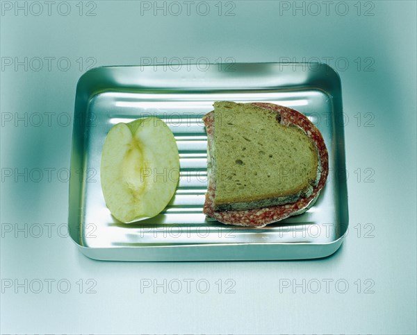 Salami bread and a piece of apple in an aluminium lunch box