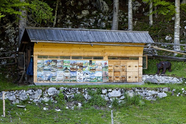 Artfully painted beehive in Triglav National Park