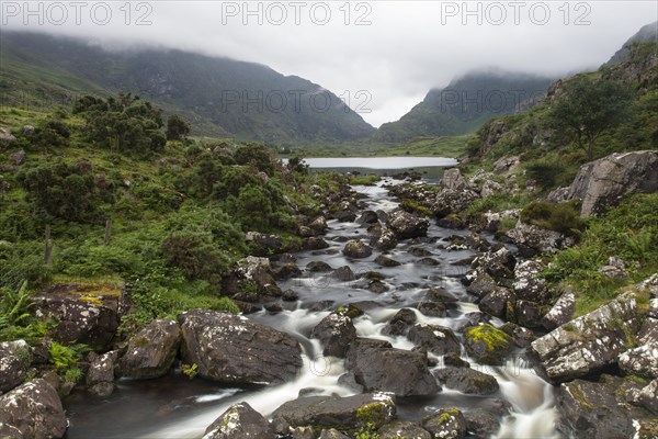 Stream flowing through a misty landscape