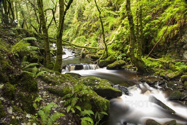 The end of the Torc waterfall