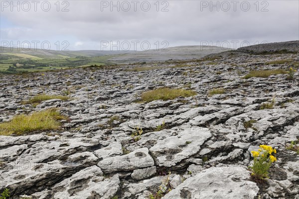 Barren landscape with rocks