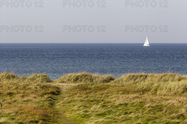 Dunes and sea