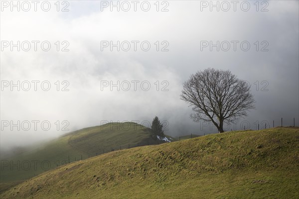 Misty atmosphere on a winter day