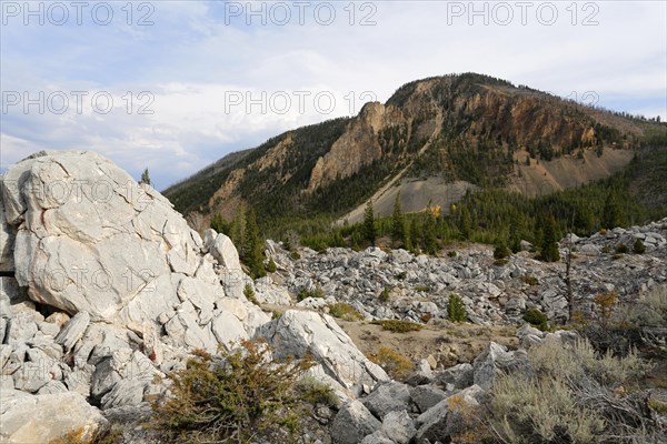 Bottleneck in Yellowstone National Park