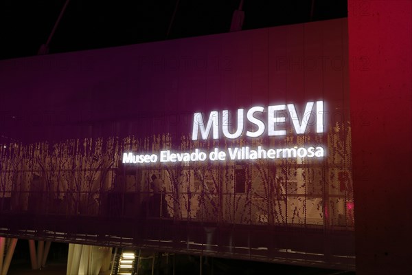 Musevi