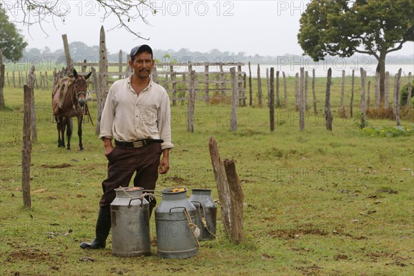 Farmer with milk churns